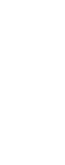 紅白大輪品種3本立て