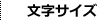 文字サイズ